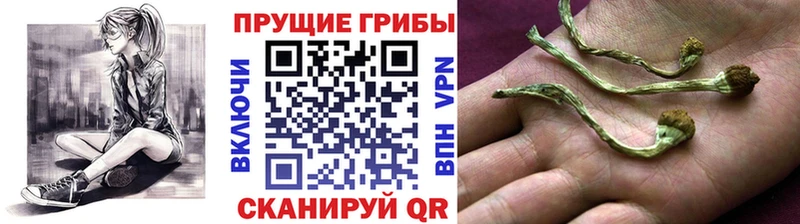 KRAKEN вход  Лукоянов  Псилоцибиновые грибы Psilocybe  купить  